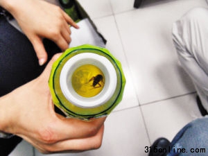 昨日,市民江女士在從彩田路某商場(chǎng)購(gòu)回的飲料中發(fā)現(xiàn)一只蟑螂。 深圳商報(bào)記者 彭晨攝