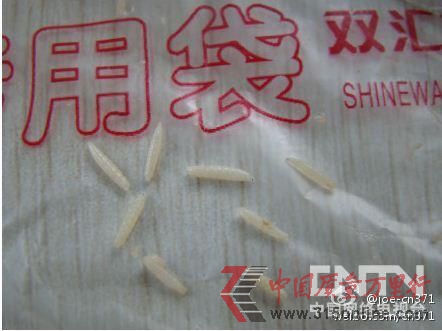 網(wǎng)曝雙匯肋排燙出蛆蟲(chóng) 公司稱確有“白點(diǎn)”但需鑒定(微博供圖)。 網(wǎng)曝雙匯肋排燙出蛆蟲(chóng) 公司稱確有“白點(diǎn)”但需鑒定(微博供圖)。