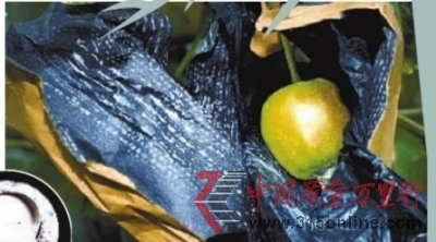 roO׵ˎմMrˎ(СD)İɫˎĩ
