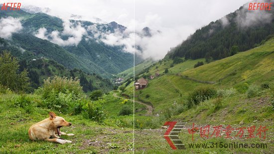 ƯƬ͏(qing)㷨܎Google+